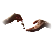 hands